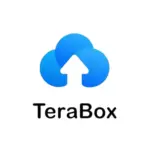 TeraBox Premium Gift Card