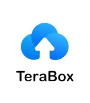 TeraBox Premium Gift Card